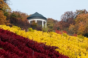 Neuer Tempel am Niederwald