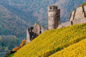 Burgruine Ehrenfels