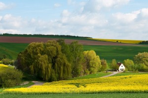 Das Selztal bei Morschheim 201004301712