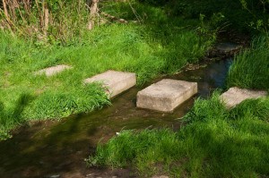 Die Selz zwischen Orbis und Morschheim 201004301718