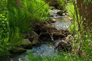 201004301720