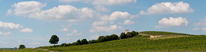 201006158504 - Rheinhessen