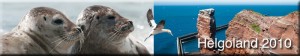 Fotogalerie Helgoland 2010