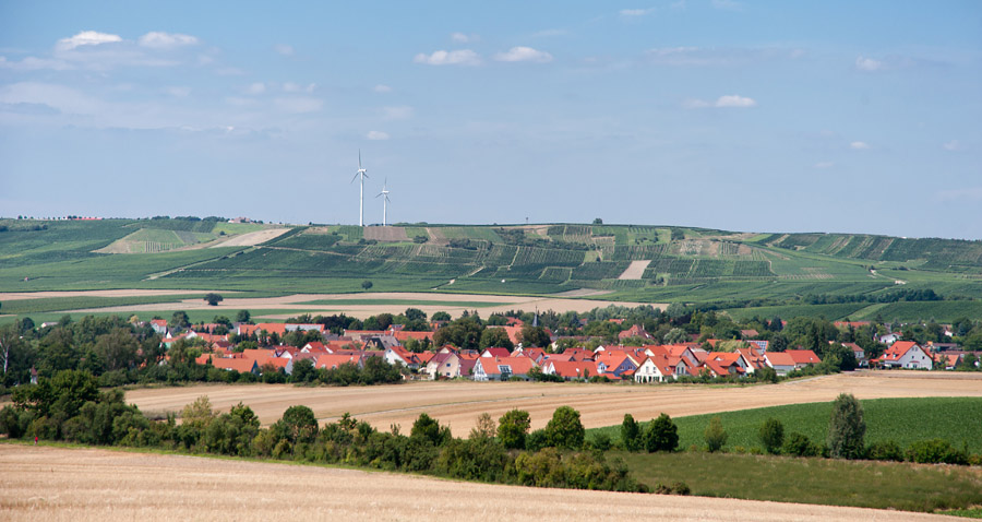 Selzen/Rheinhessen