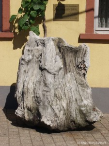 200207280397 - Nierstein: Museum