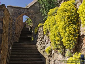 200305063635 - Burg Sooneck