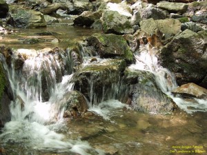 200305293933 - Morgenbachtal bei Trechtingshausen