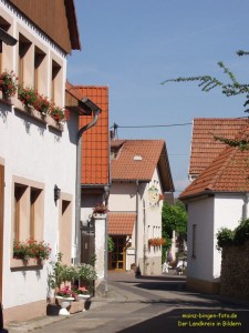 200306214398 - Uelversheim