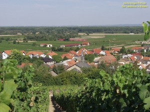 200308255354 - Ludwigshöhe
