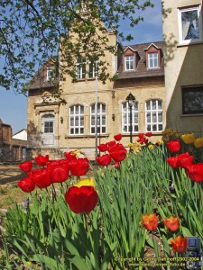 200404177428 - Wolfsheim: Altes Rathaus