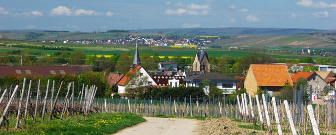 Welgesheim Dahlhoff Fotografie