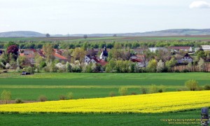 200404247537 - Zotzenheim