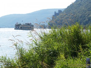 200409052425 - Der Mittelrhein