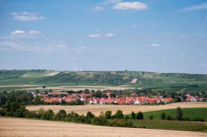 201008079368 - Selzen