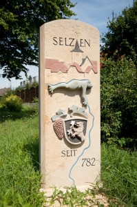 201008079374 - Selzen