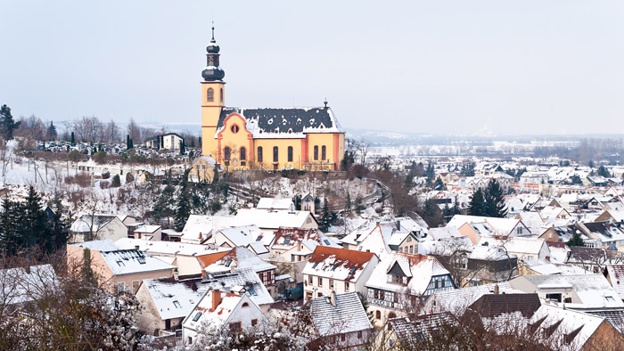 201012021095 - Nackenheim