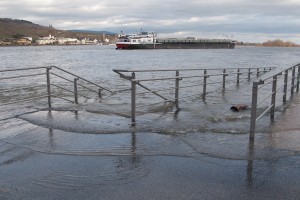 201101141241 - Bingen: Landesgartenschaugelände bei Hochwasser