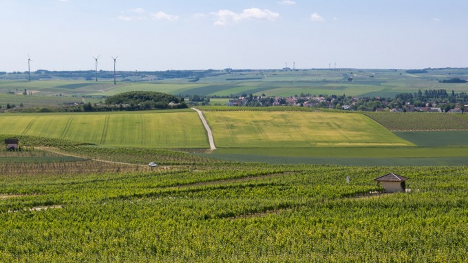 201105291396 - Rheinhessisches Hügelland bei Selzen