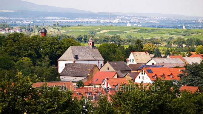 201107270460 - Mommenheim/Rheinhessen