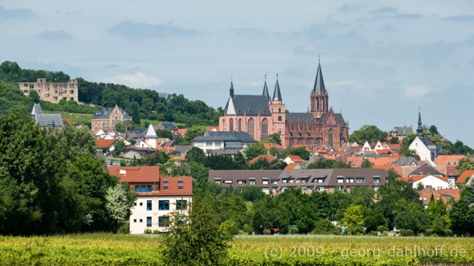 200906032832 - Oppenheim: Altstadtansicht von Süden