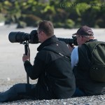 201006044602 - Fotopirsch am Nordstrand