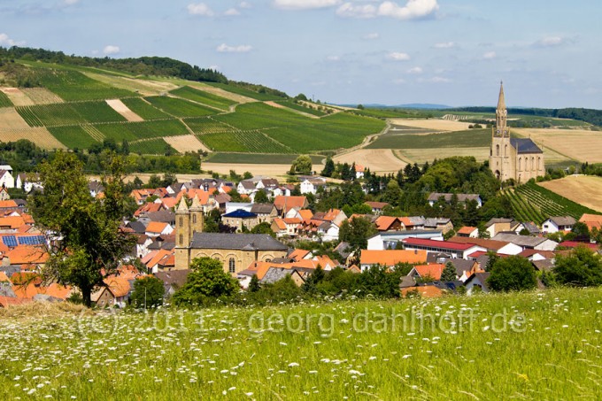201108020749 - Waldböckelheim