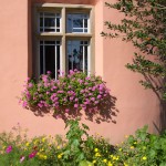 201108200791 - Fenster von Burg Windeck