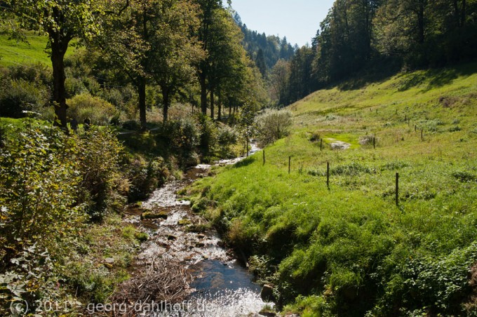 201109242839 - Lierbach im Schwarzwald bei Allerheiligen