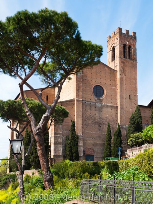 200804248190 - San Domenico - Siena/Toscana