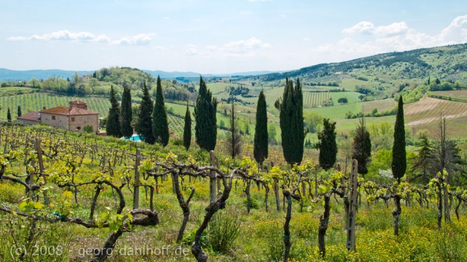 200804250590 - Toscana: Weingut bei San Gimignano