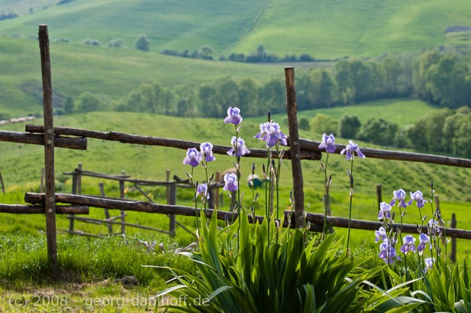 200804258470 - Toscana Landschaft