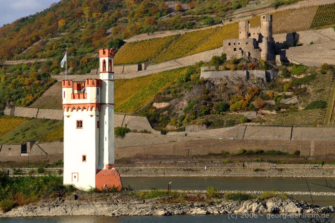 200810180545 - Der Mäuseturm und die Burgruine Ehrenfels