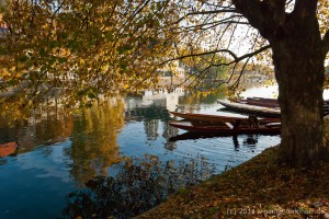 201110296172 - Tübingen: Am Neckar - Stocherkähne