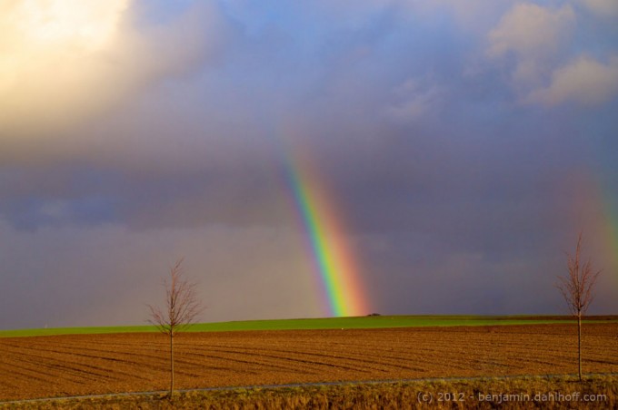 201201077062 - Rheinhessische Winterlandschaft