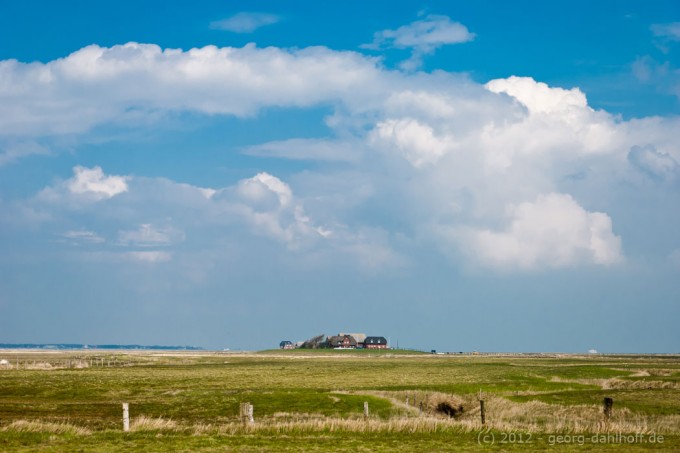 201204216769 - Hallig Langeneß, Kirchhofwarf