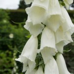 201207024330