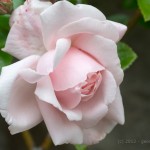 201207024337