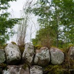 201207024351