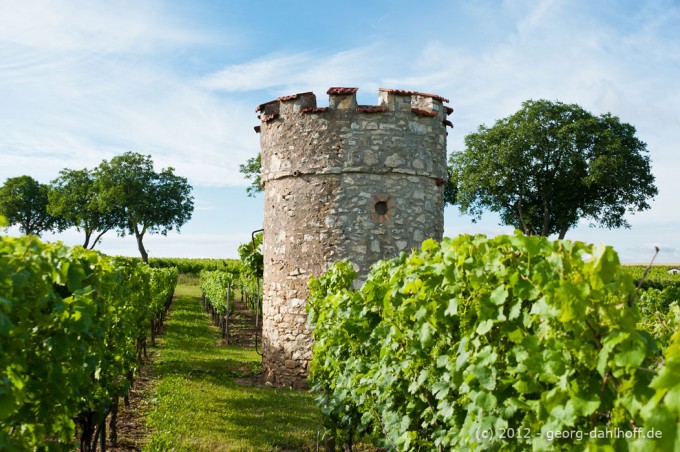 201207115351 - Wingertsturm bei Flörsheim-Dalsheim