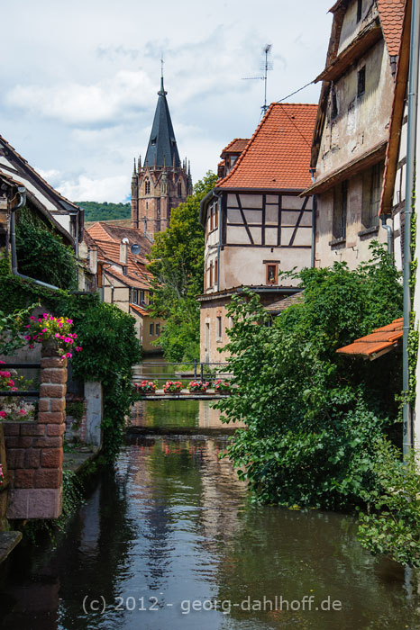201207296405 - Die Lauter in Wissembourg