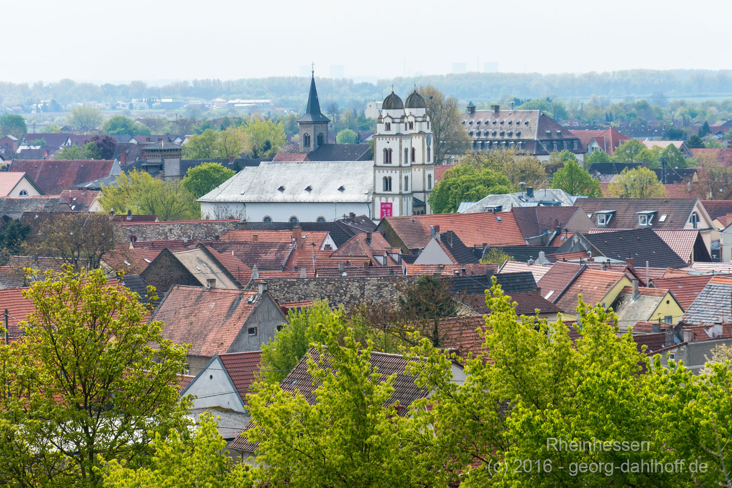Guntersblum Dahlhoff Fotografie