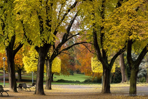 201211110559 - Herbstliches Finale im Mainzer Stadtpark