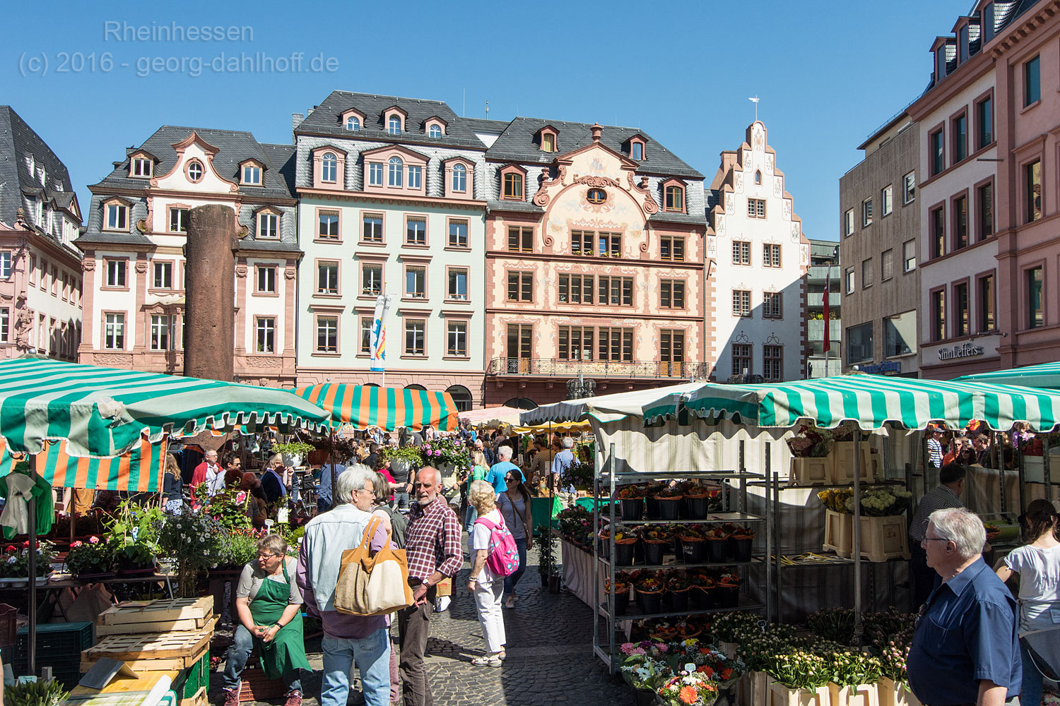 Wochenmarkt Mainz