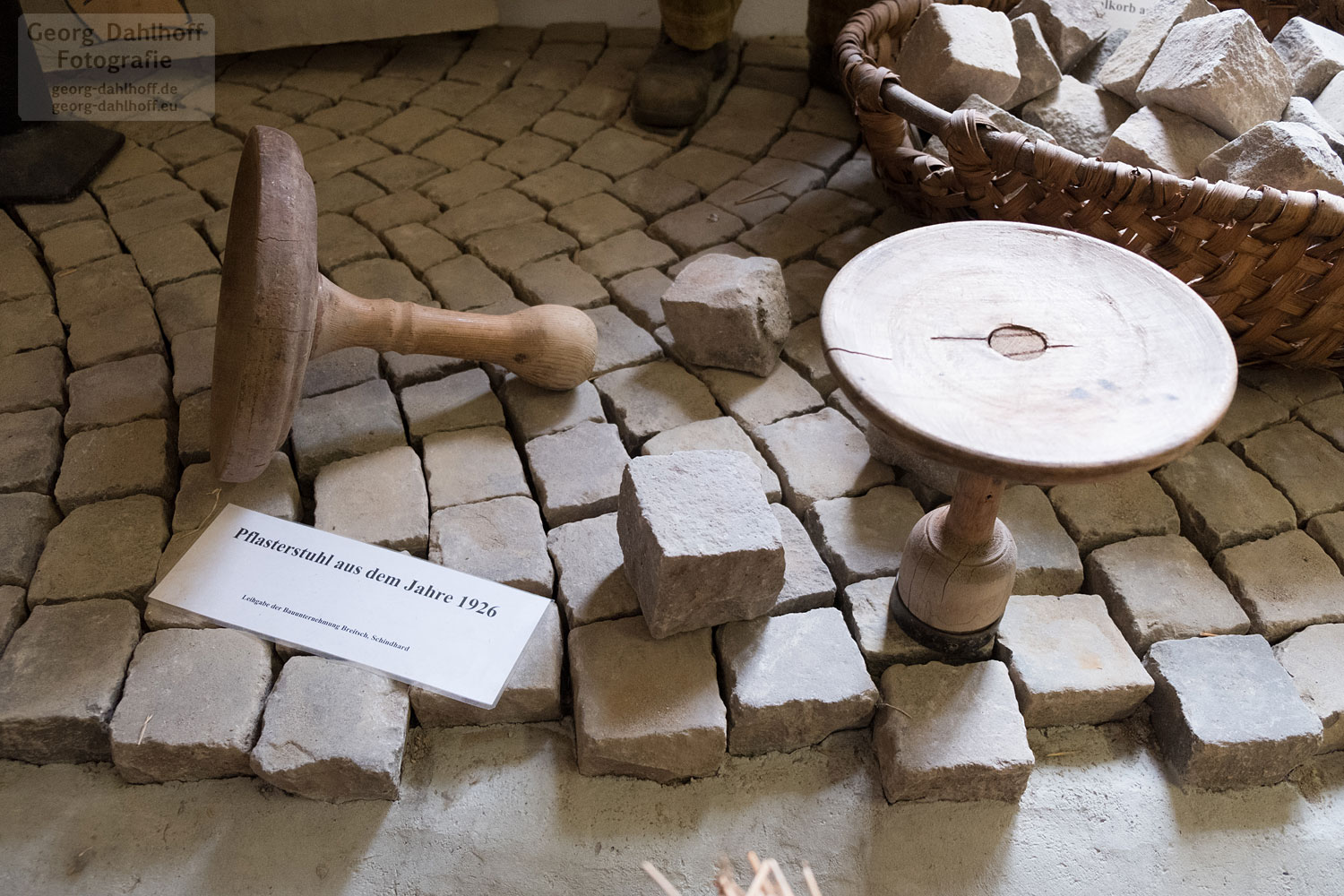 201710062060 Dahlhoff Fotografie